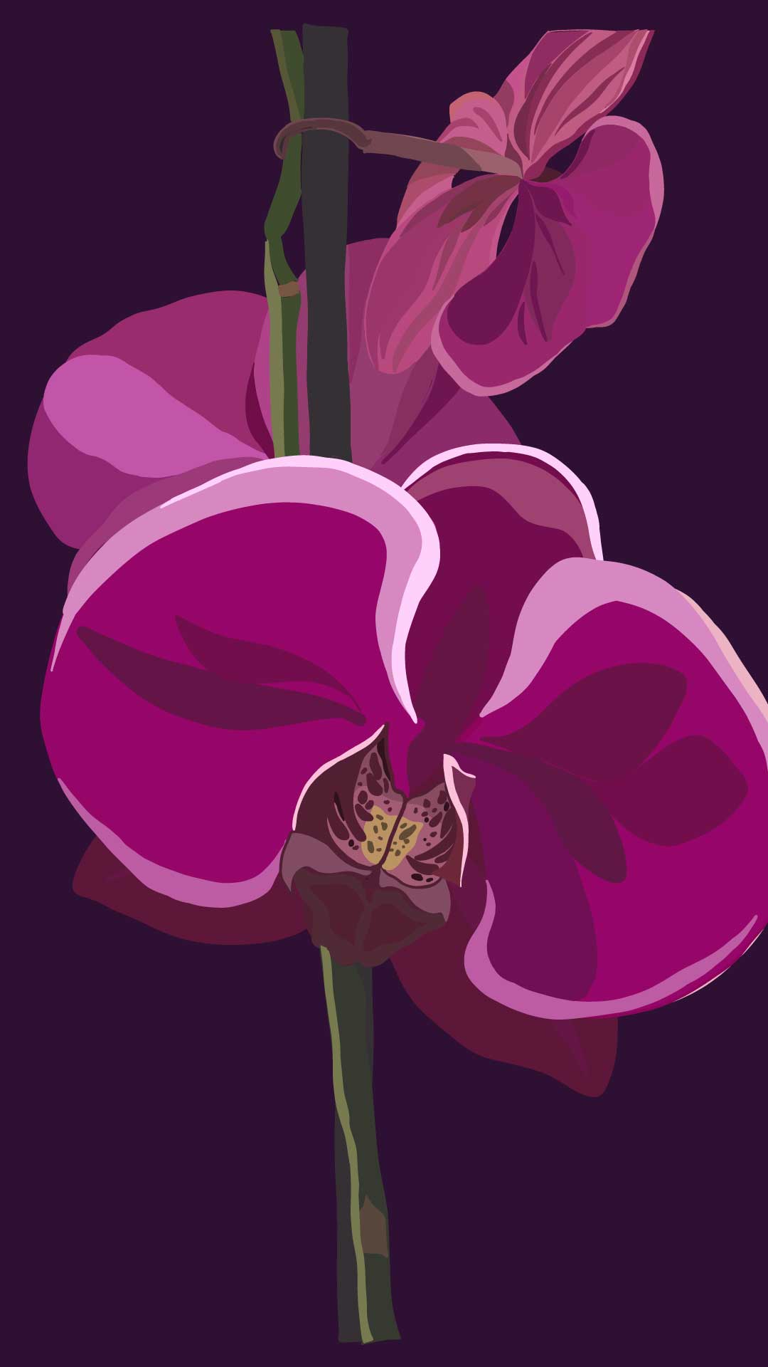 orquideas violetas Ilustración digital inspirada en las flores tropicales, son heliocondas.